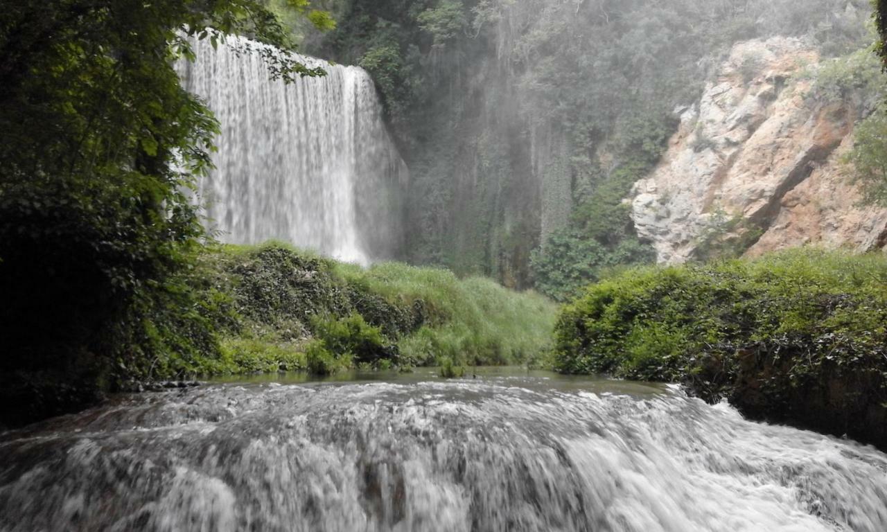 Hostal Rural Cumbres De Castilla Mandayona Ngoại thất bức ảnh